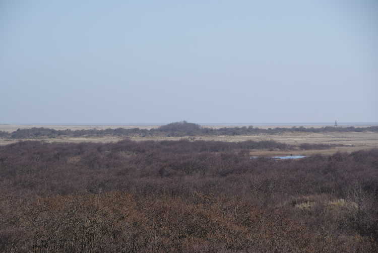 Panorama Schiermonnikoog naar het oosten