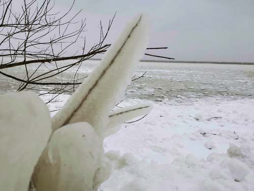 Een tak bedekt met ijs op het strand